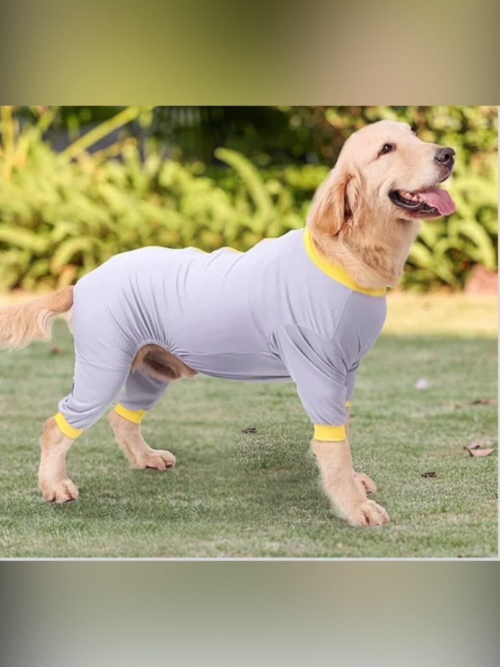 New Owlike Dog Suit After Surgery Wear Anti Licking
(XL)